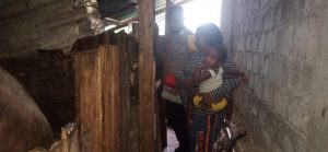 Kunjungi Spot Peternakan, Binmas Noken Polres Jayawijaya Pantau Perkembangan Ternak Babi