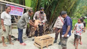 Personel Binmas Noken Memberikan Bantuan Sepasang Anak Babi Kepada Tokoh Agama Kampung Wadapi