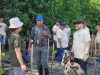Bank Papua, Mangrove dan Membangun Tanah Papua