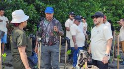 Dewa Bakau Hadir dalam Penanaman Mangrove di Kampung Tobati