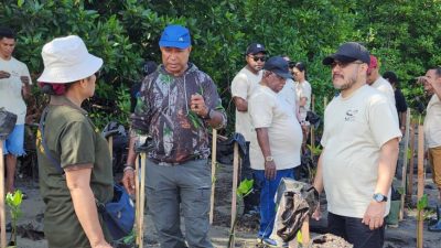 Dewa Bakau Hadir dalam Penanaman Mangrove di Kampung Tobati