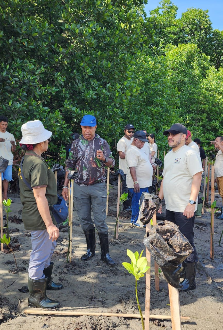 Dewa Bakau Hadir dalam Penanaman Mangrove di Kampung Tobati