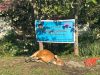 Rahasia SPPG ASEY BESAR Sentani Jamin Kualitas Makanan dengan Cara yang Bikin Melongo